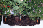Tropf-Automat-Bewässerung Set für 12 Pflanzen