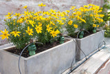Tropf-Automat-Bewässerung Set für 12 Pflanzen