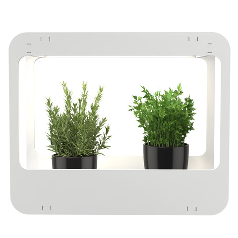 LED Mini-Garten