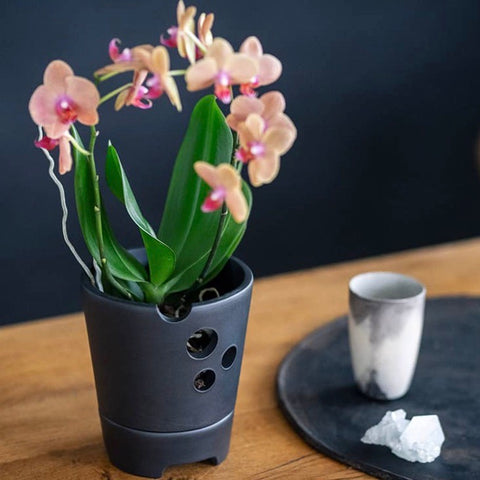 Orchideentopf aus CeraLava® Keramik